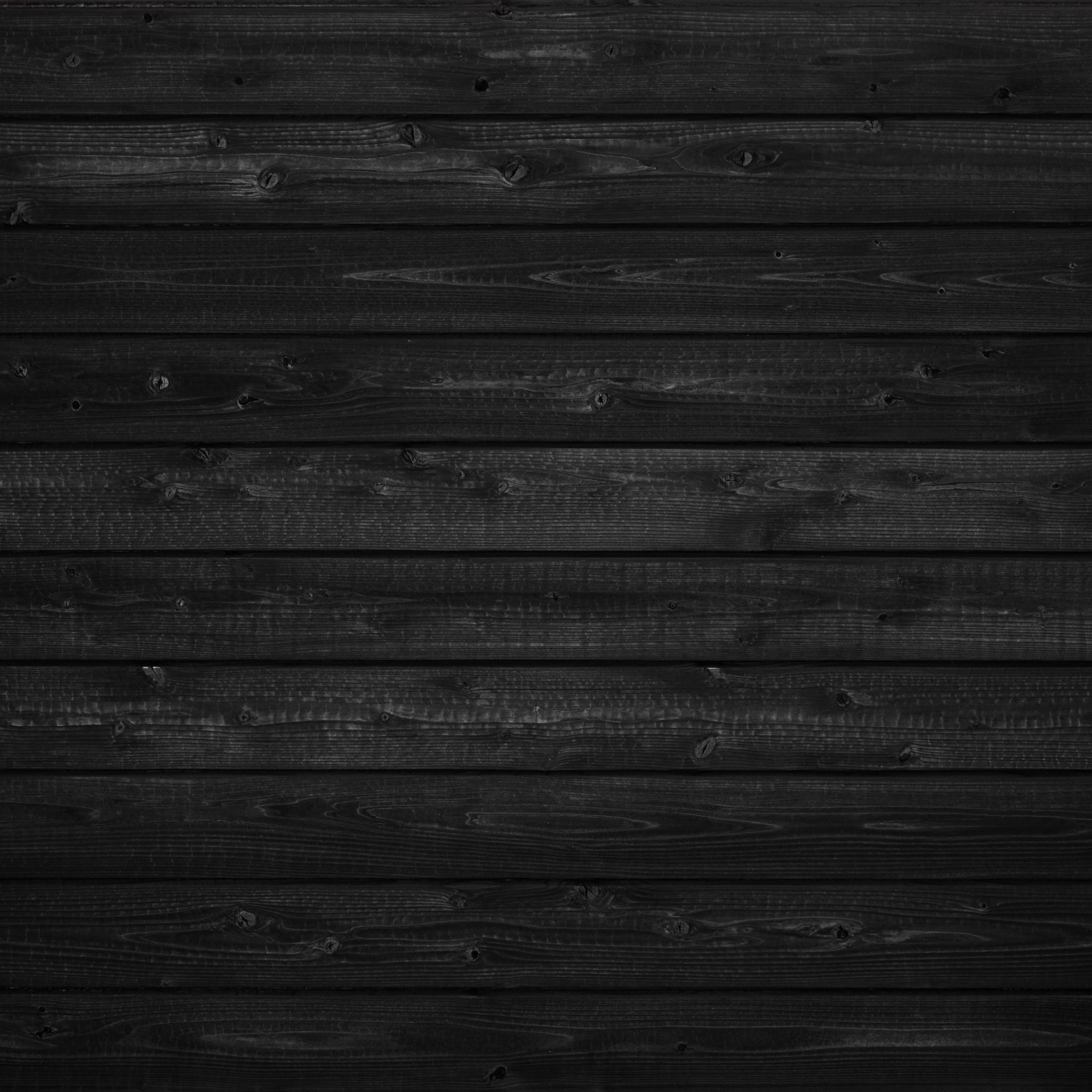 Gendai® Linseed Black Select Grade
