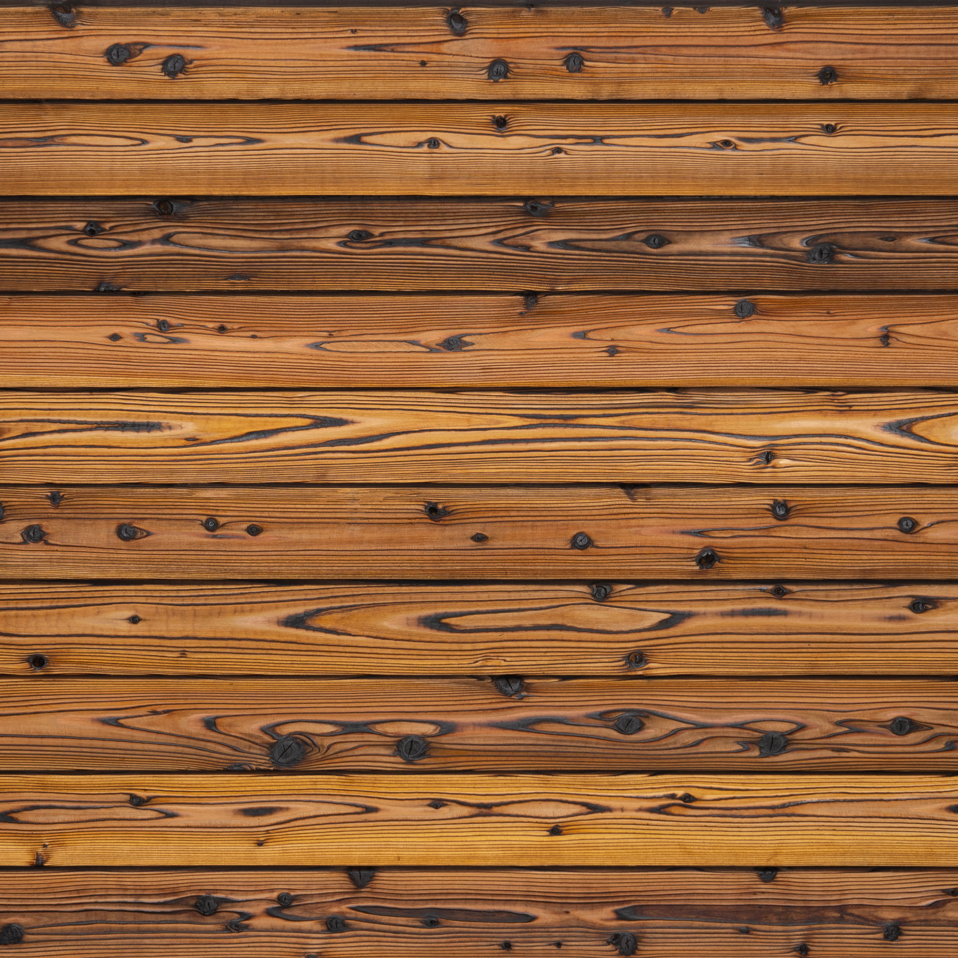 Pika-Pika® Linseed Oil Natural Select Grade Rendering Image